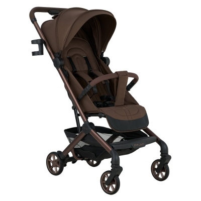 Прогулочная коляска Pituso Q5 Terra 01